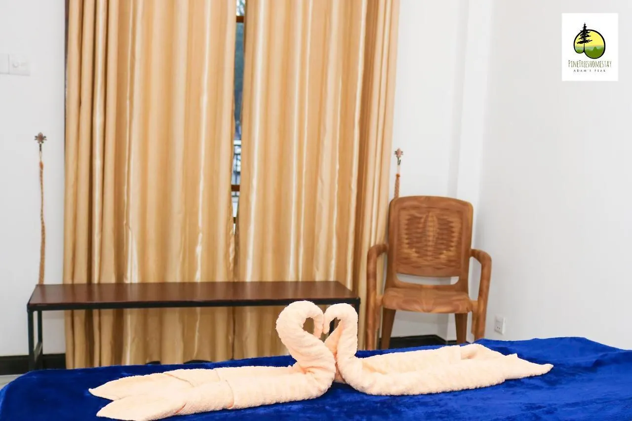 Pine Trees Homestay Наллатания Шри-Ланка