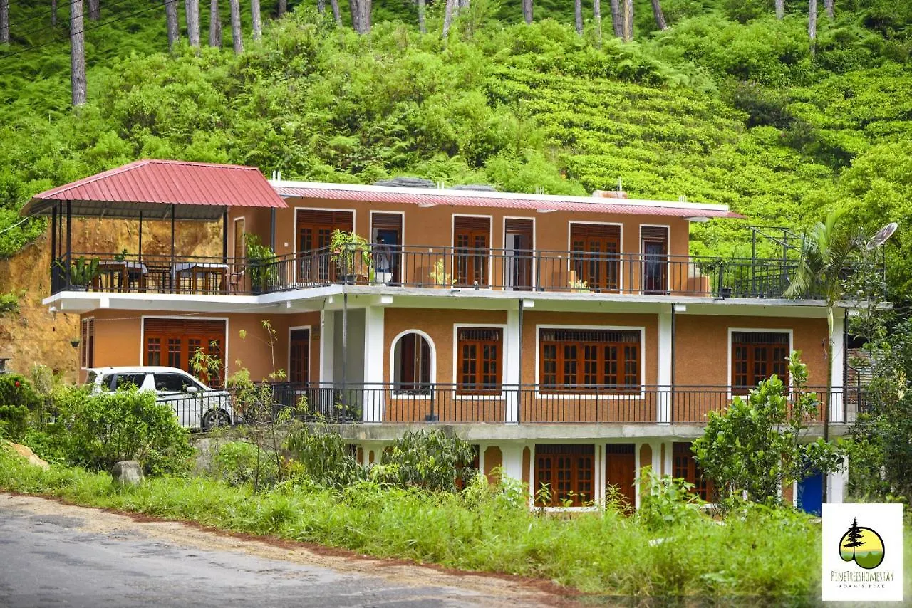 Pine Trees Homestay Наллатания
