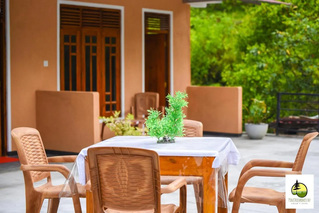 Pine Trees Homestay Наллатания