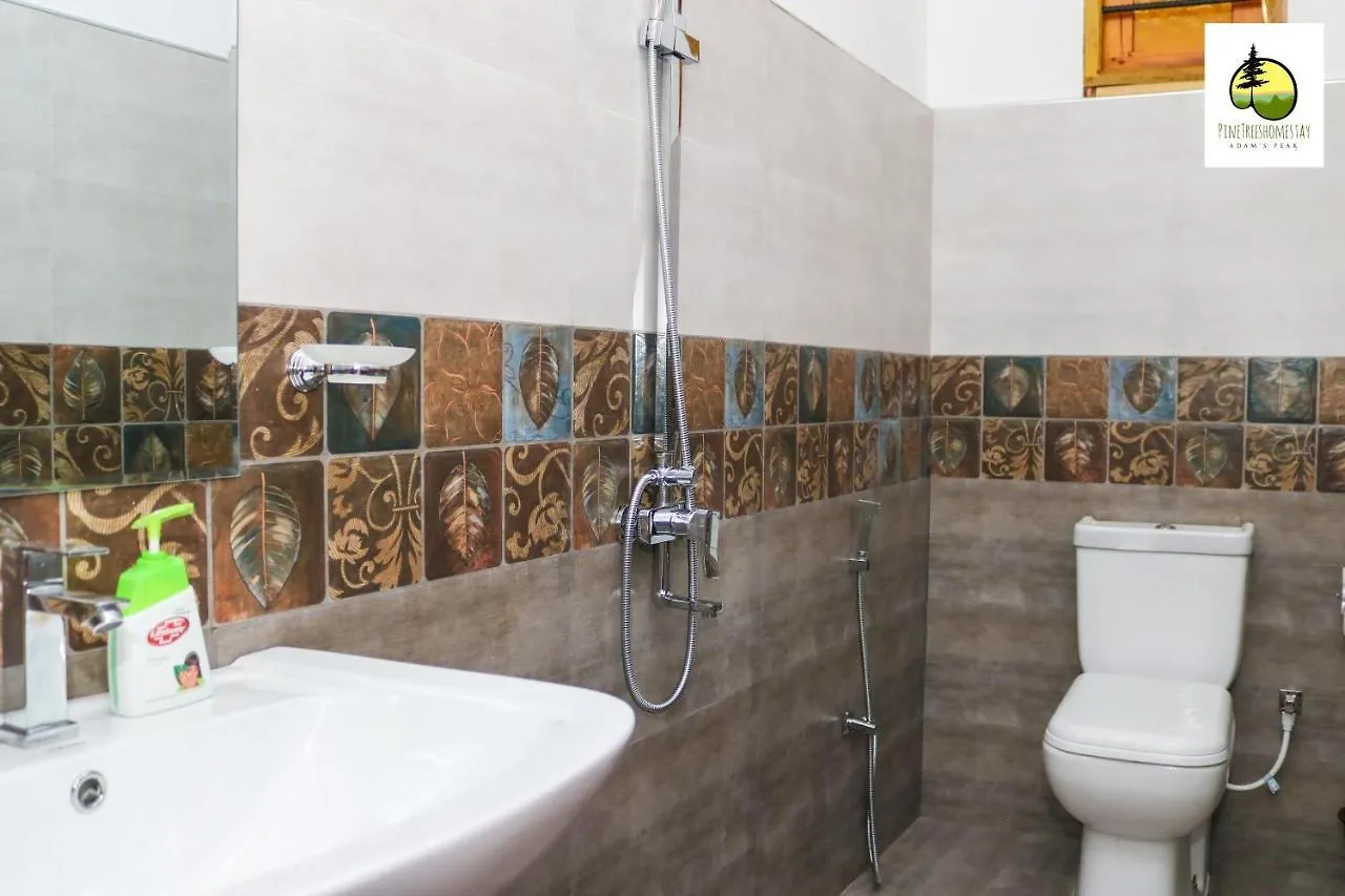 Pine Trees Homestay Наллатания