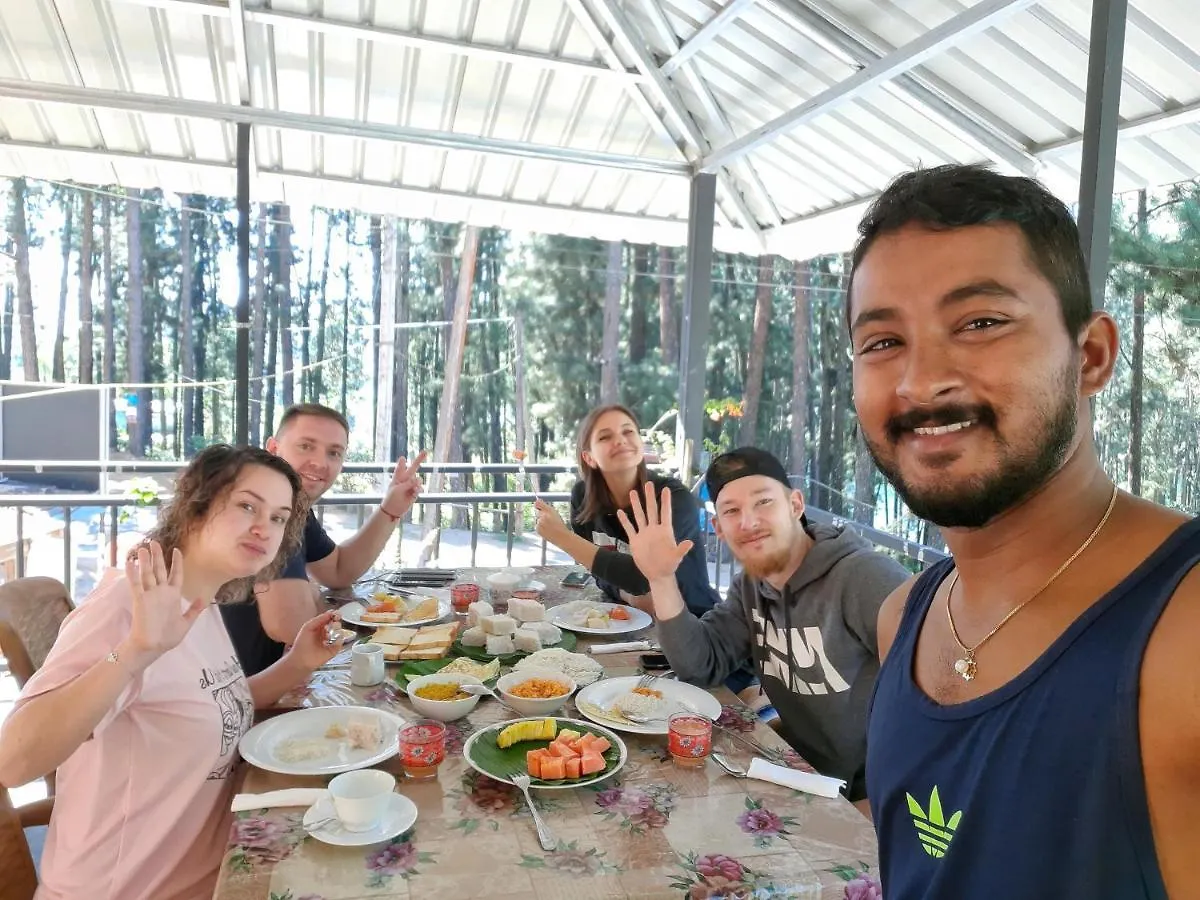 Pine Trees Homestay Наллатания