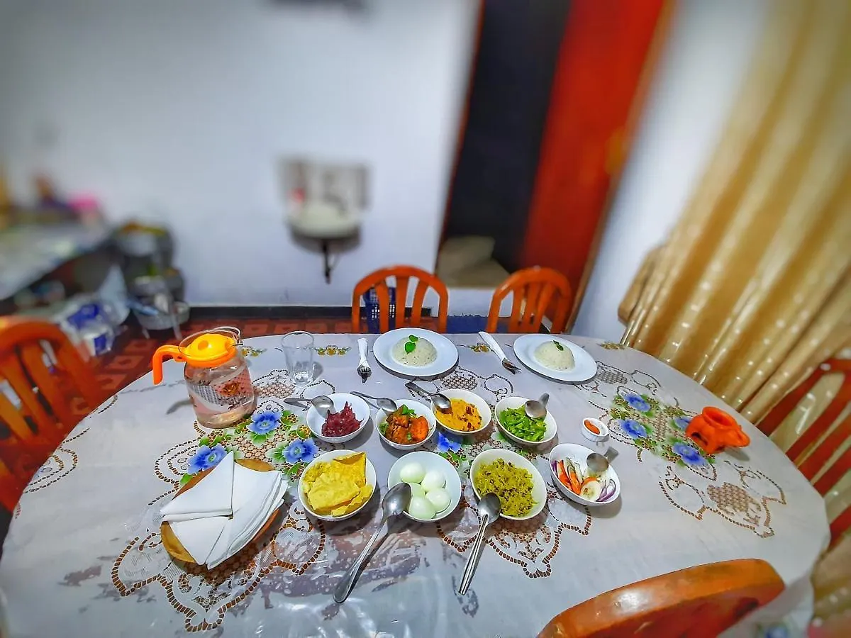 Pine Trees Homestay Наллатания Шри-Ланка