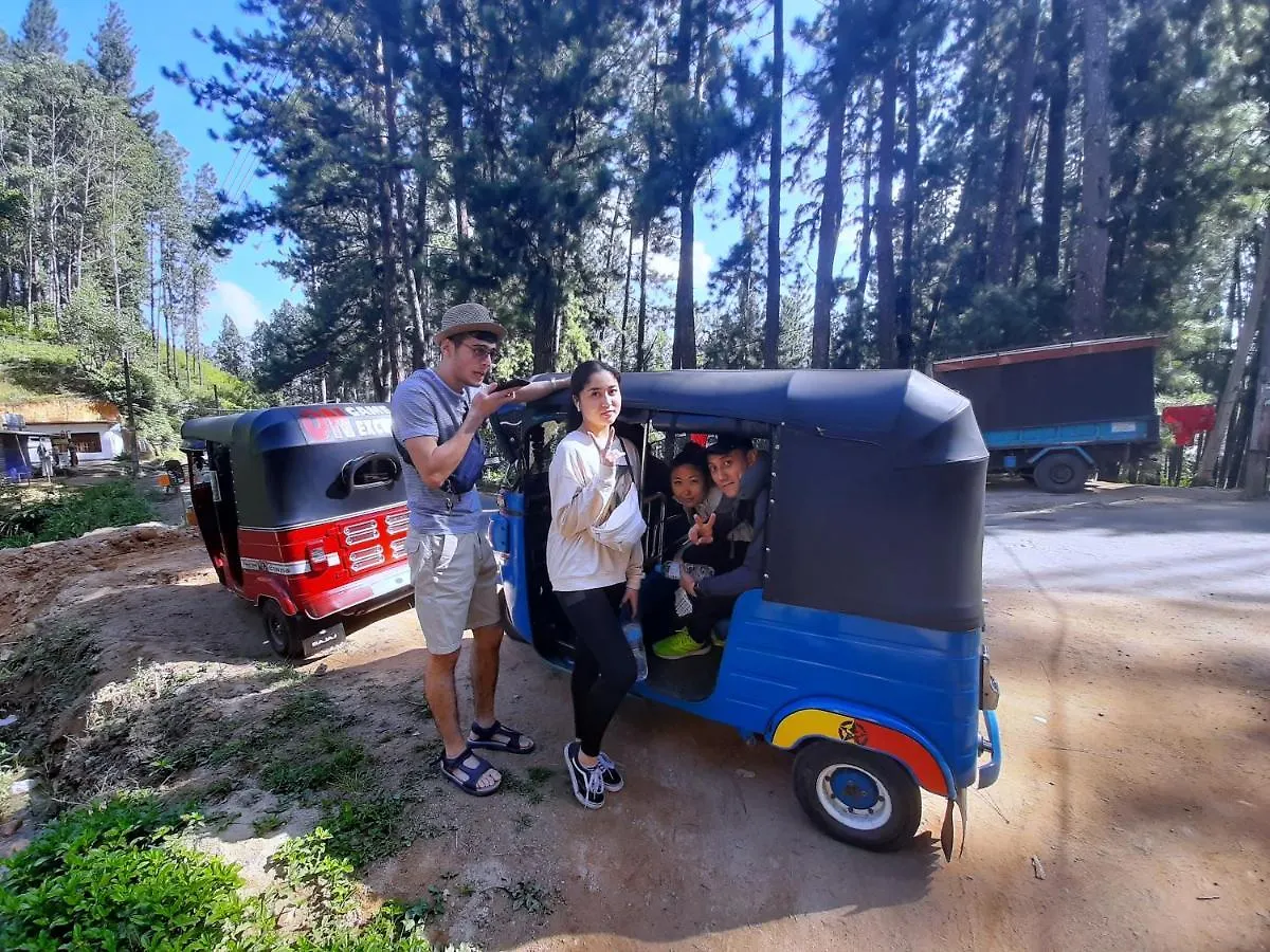 Pine Trees Homestay Наллатания 0*,  Шри-Ланка
